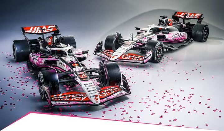 雷诺车队力克哈斯车队，阿隆索带队取胜