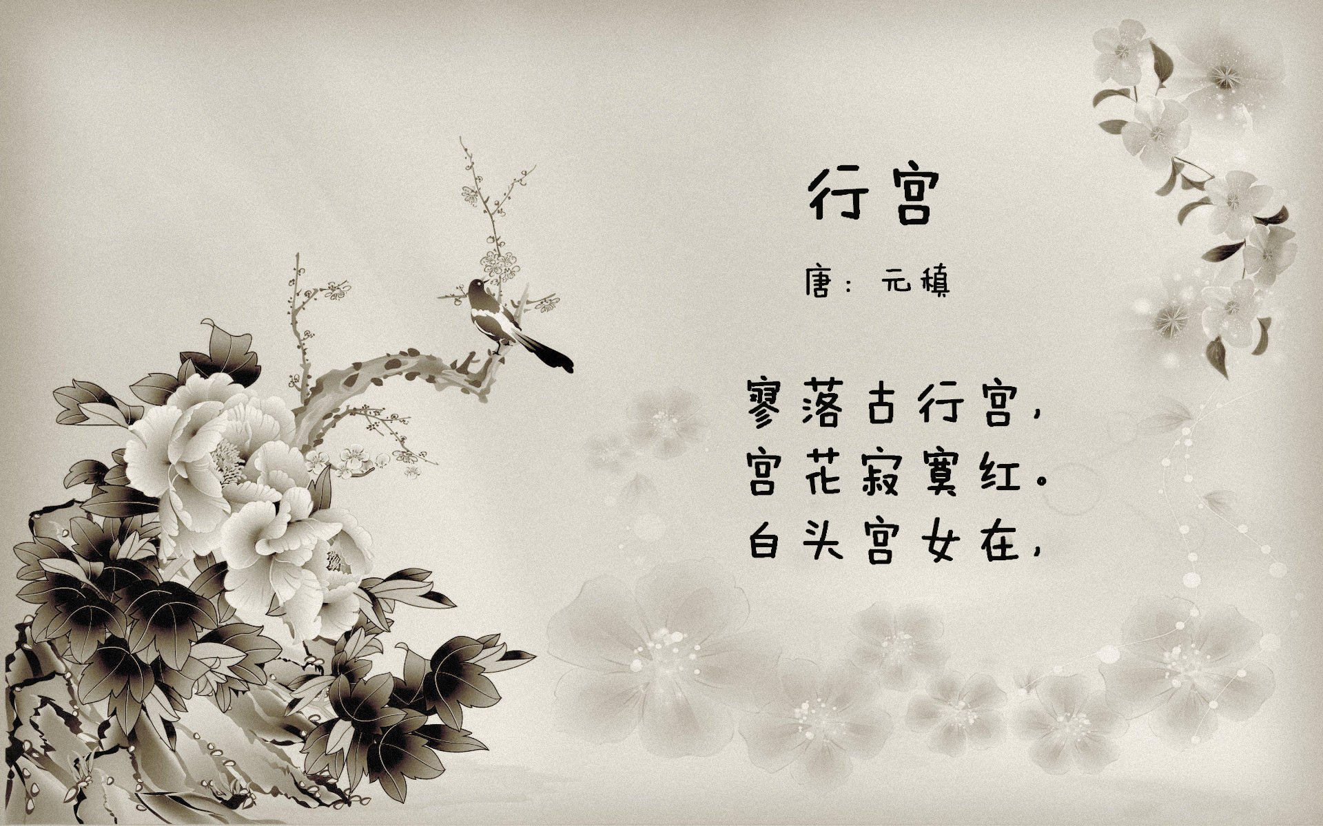 纽约德比硝烟散尽,字母哥独舞布鲁克林,一场关于证明的无声宣言