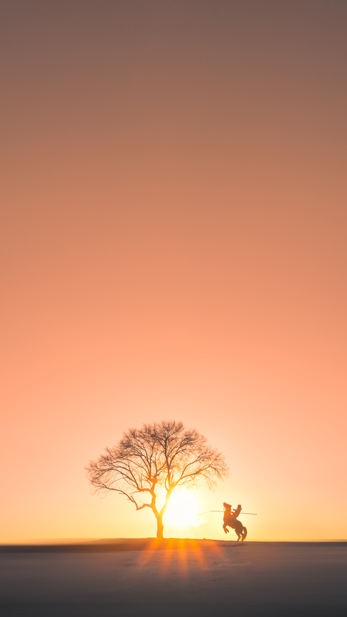 阿什拉夫，大场面先生！荷兰对阵挪威，他为何成为胜负的隐形钥匙？