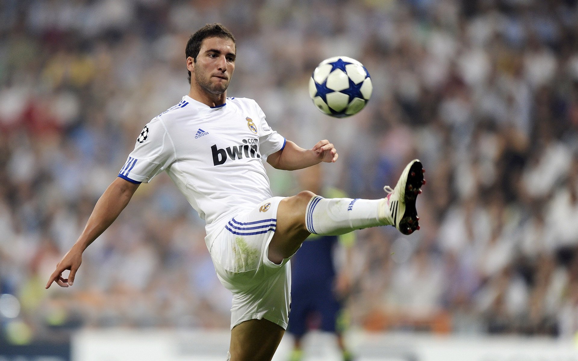 赛道与绿茵的交汇，佩德里在F1揭幕战的冠军接管